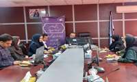 جلسه بهبود و ارتقاء روند پوشش غربالگری، شناسایی زودهنگام و مراقبت های درمانی، توانبخشی شنوایی نوزادان کشور
